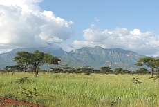 Mount Ruwenzori